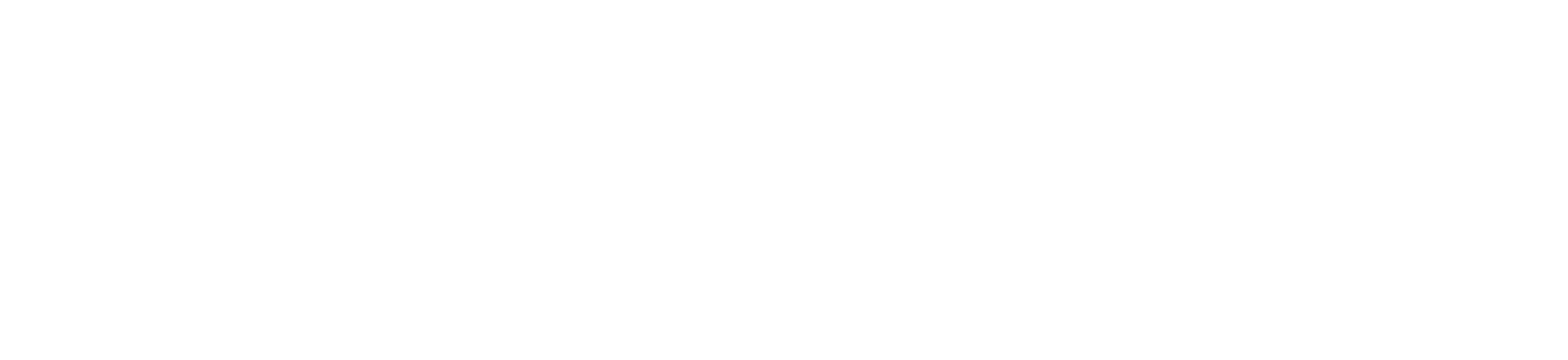Nu Horizon